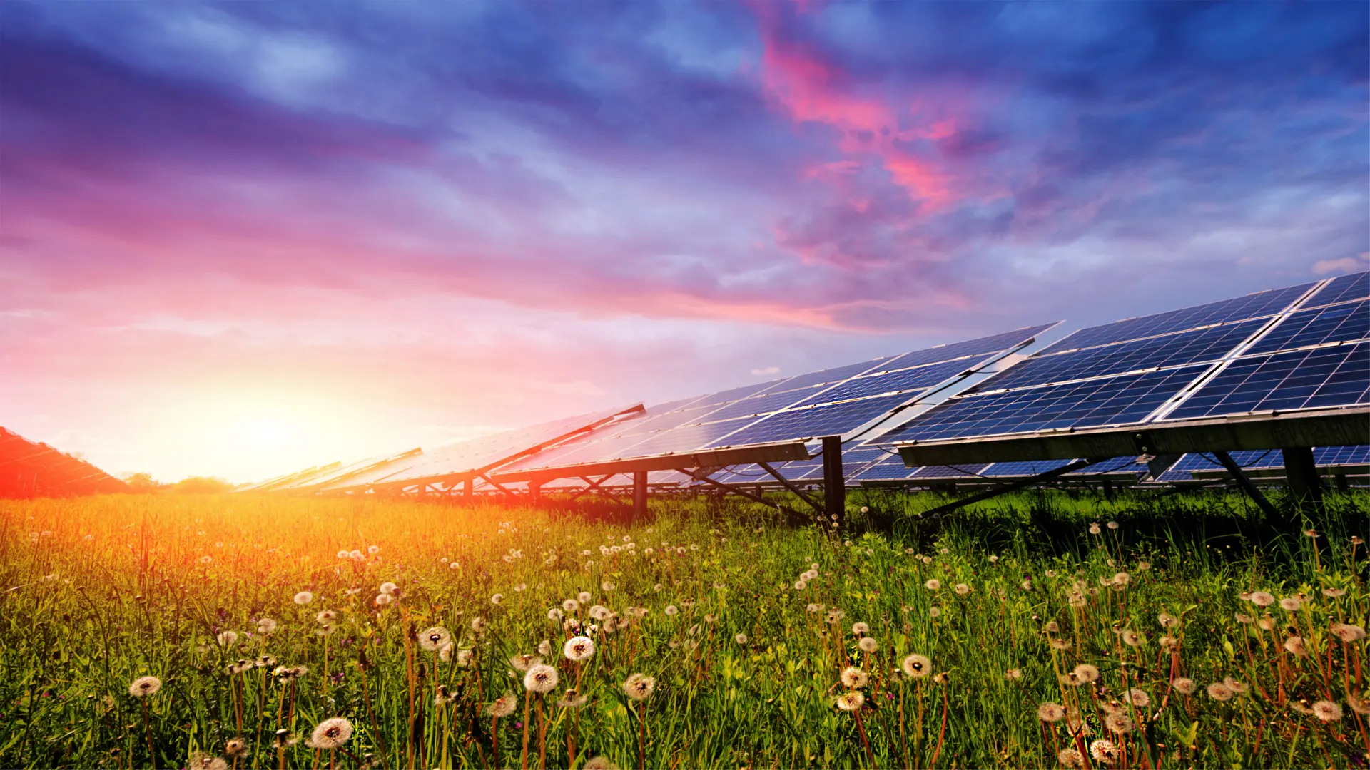 Il parco fotovoltaico.